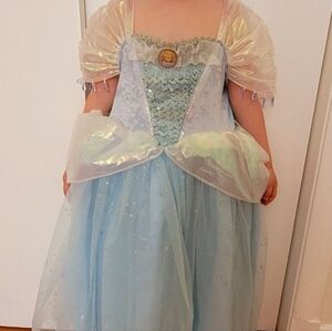 Cinderella Dress and Shoes